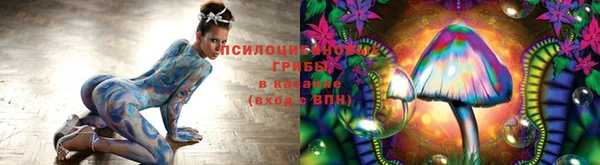 соль курить ск Белокуриха