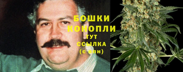 бутират Богданович
