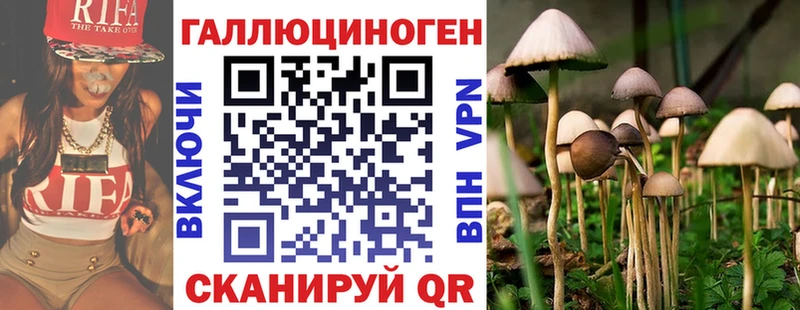 Псилоцибиновые грибы MAGIC MUSHROOMS  Купить закладки  Дегтярск 